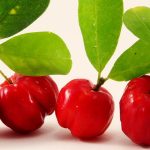 Acerola vitamina C