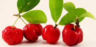 Acerola vitamina C