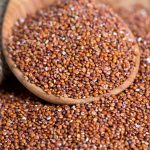 Quinoa rossa proprietà benefici