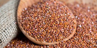 Quinoa rossa proprietà benefici