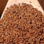 Teff e farina di teff proprietà e benefici