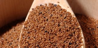 Teff e farina di teff proprietà e benefici