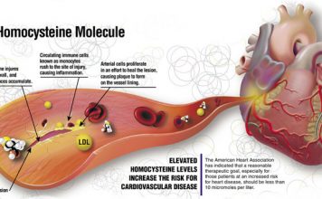 Assetto Lipidico Completo: Esami Per Analisi Del Quadro Lipidico