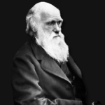 darwin